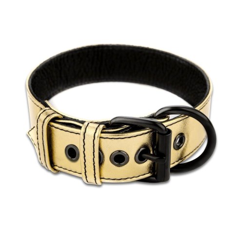 OBROŻA BONDAGE FETISH METALLIC PUP COLLAR WITH LEASH