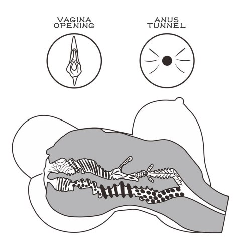 MASTURBATOR STREETGIRL'S #6 BLACK