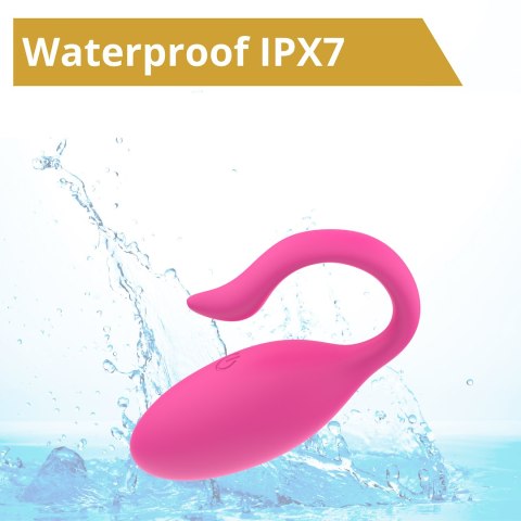 JAJKO STEROWANE APLIKACJĄ EROSPACE SWEET PLAY A9