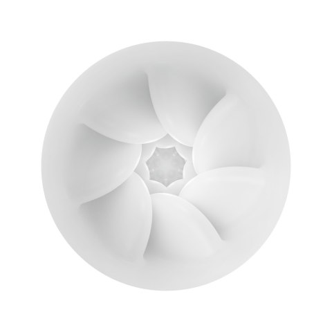 MASTURBATOR PRETTY LOVE WONDER BALL