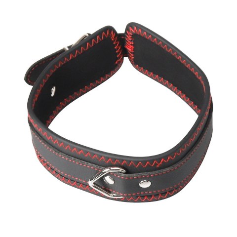 ZESTAW BDSM 4 PRODUKTÓW EROSPACE WILD PLAY C9