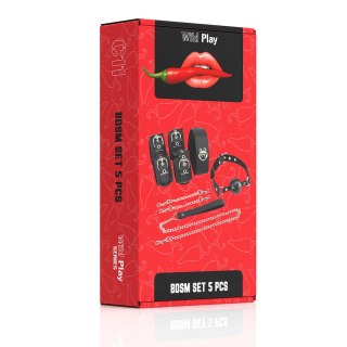 ZESTAW BDSM 5 PRODUKTÓW EROSPACE WILD PLAY C11
