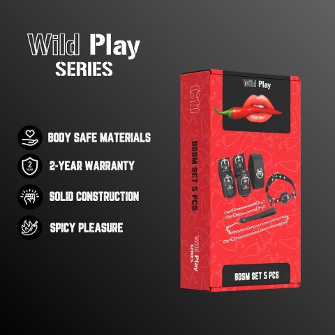 ZESTAW BDSM 5 PRODUKTÓW EROSPACE WILD PLAY C11