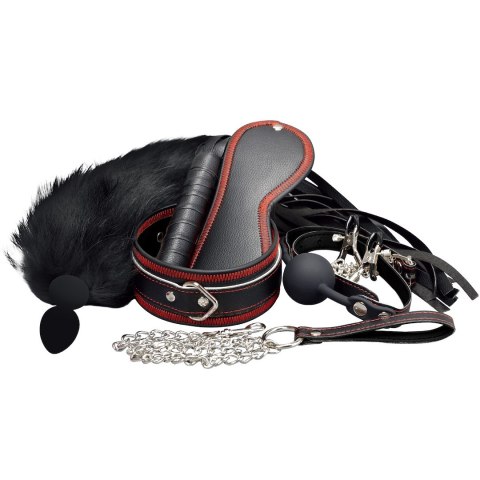 ZESTAW BDSM 7 PRODUKTÓW EROSPACE WILD PLAY C8