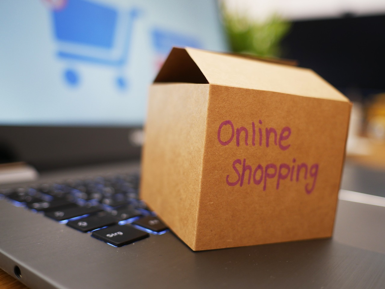 Na co zwrócić uwagę przy zakupie zabawki erotycznej online?